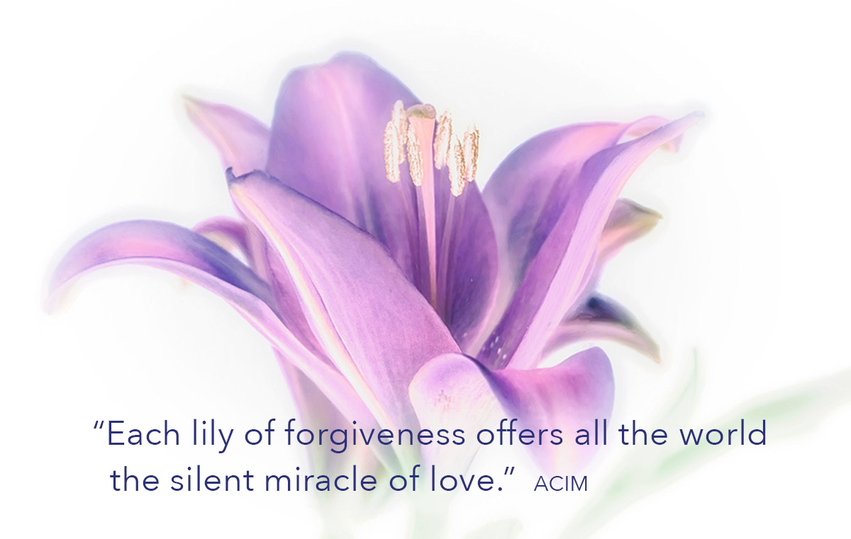 Each lily of forgiveness Each lily of forgiveness offers all the world the silent miracle of love. ACIM