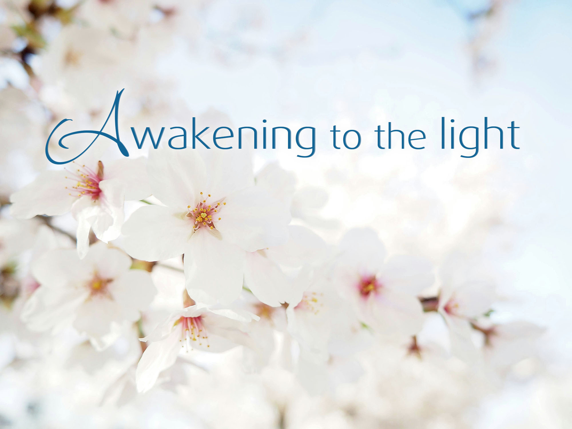 Awakening to the light - retreat in Spain