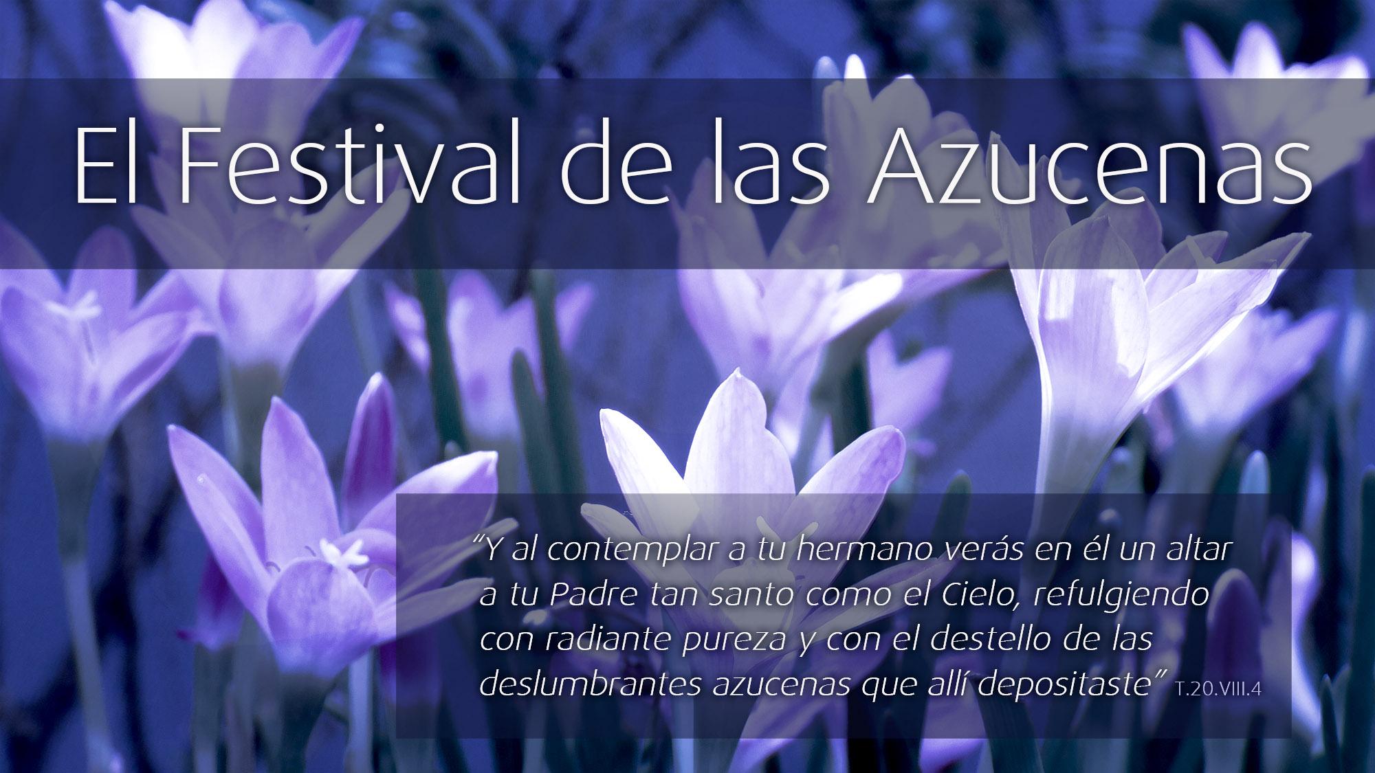 El Festival de las Azucenas