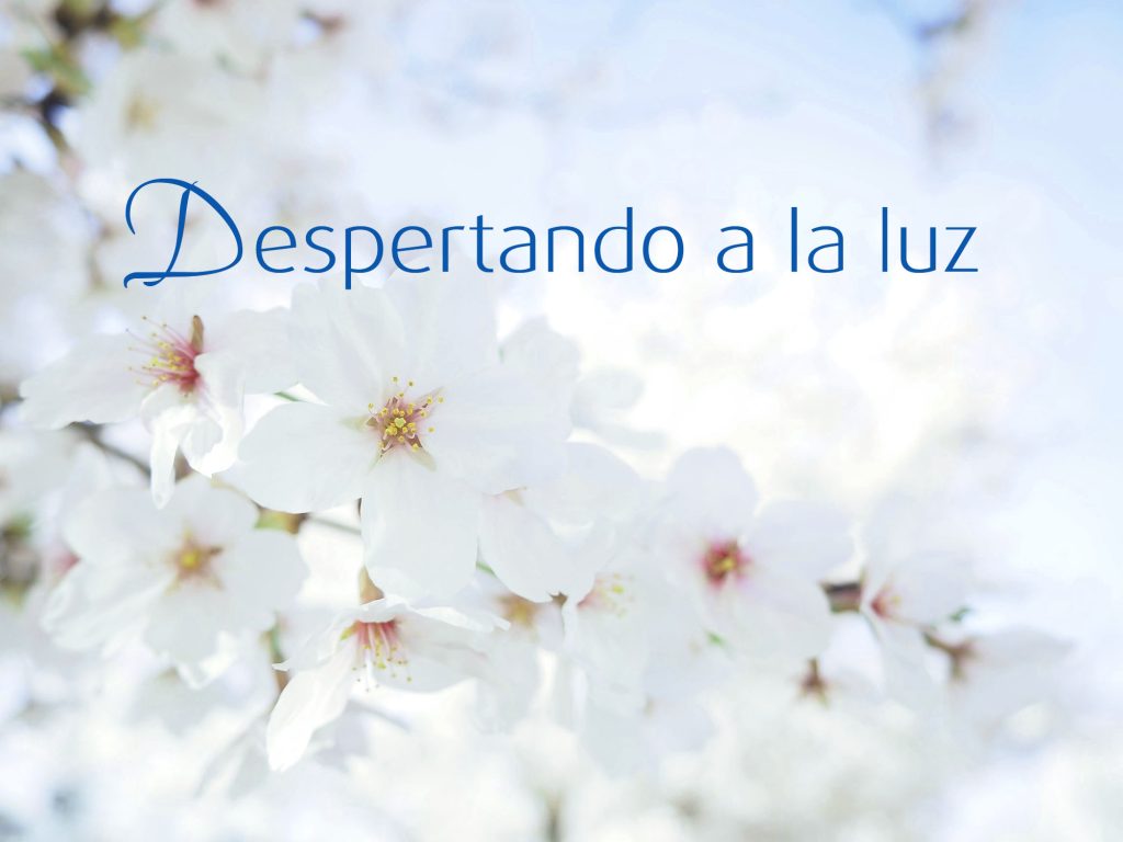 Despertando a la luz - retiro en España