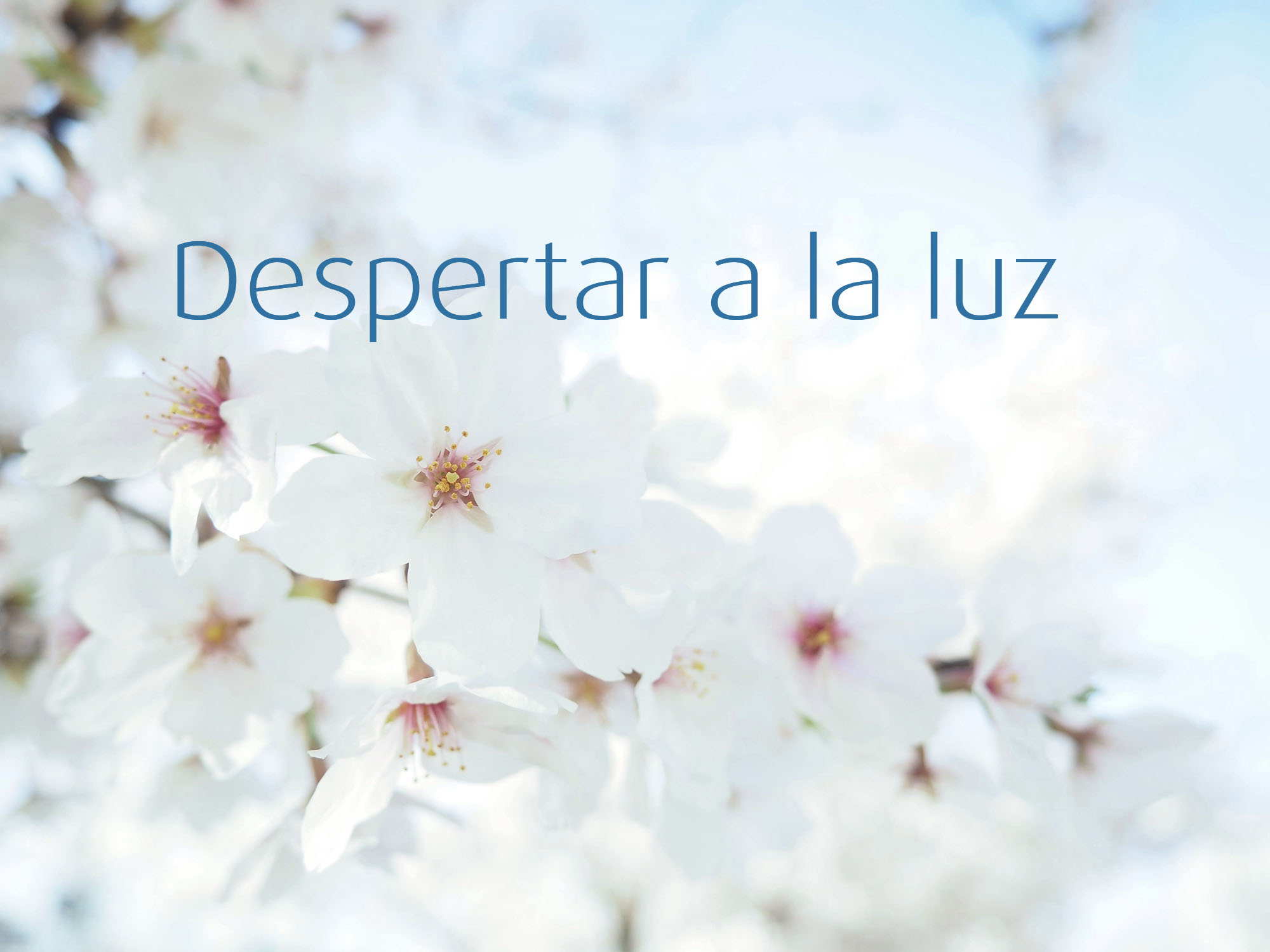 Despertar a la luz - retiro en España