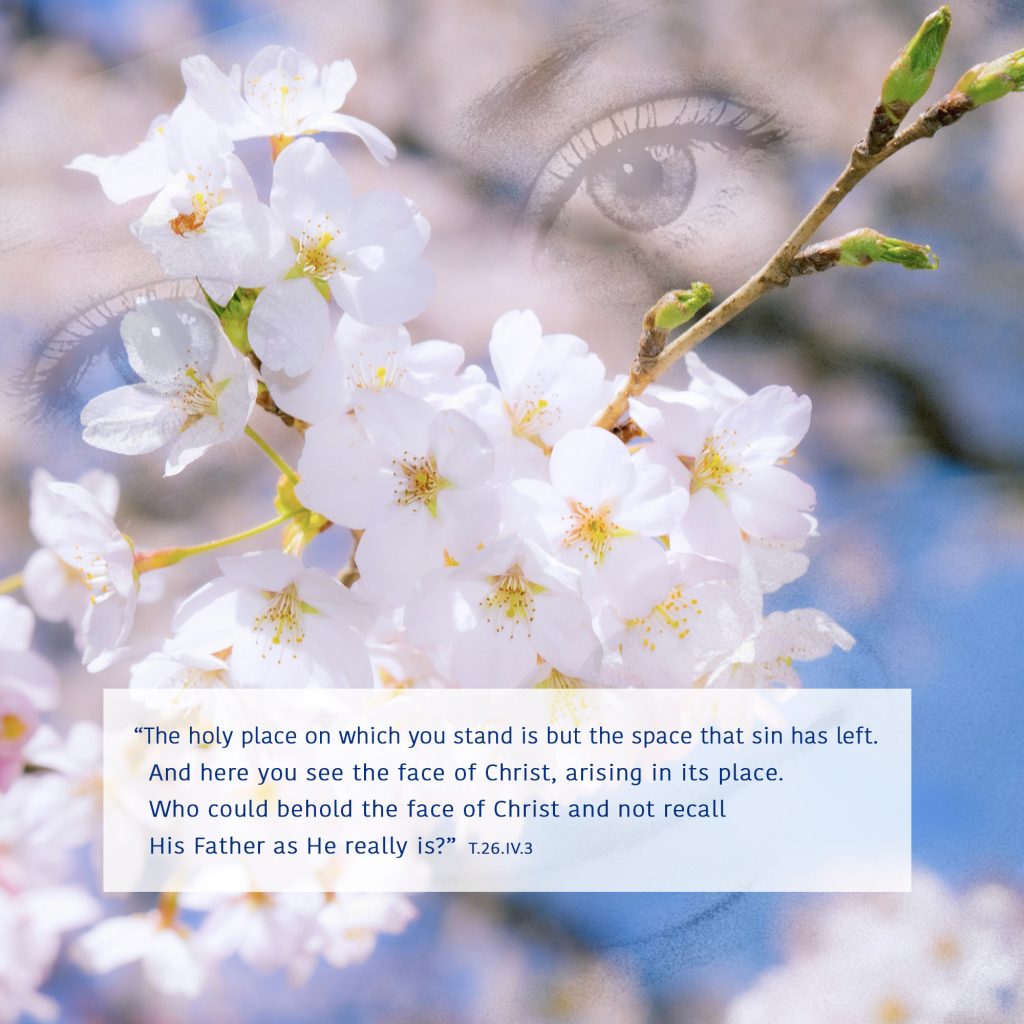 The holy place on which you stand is but the space that sin has left. And here you see the face of Christ, arising in its place. Who could behold the face of Christ and not recall His Father as He really is?