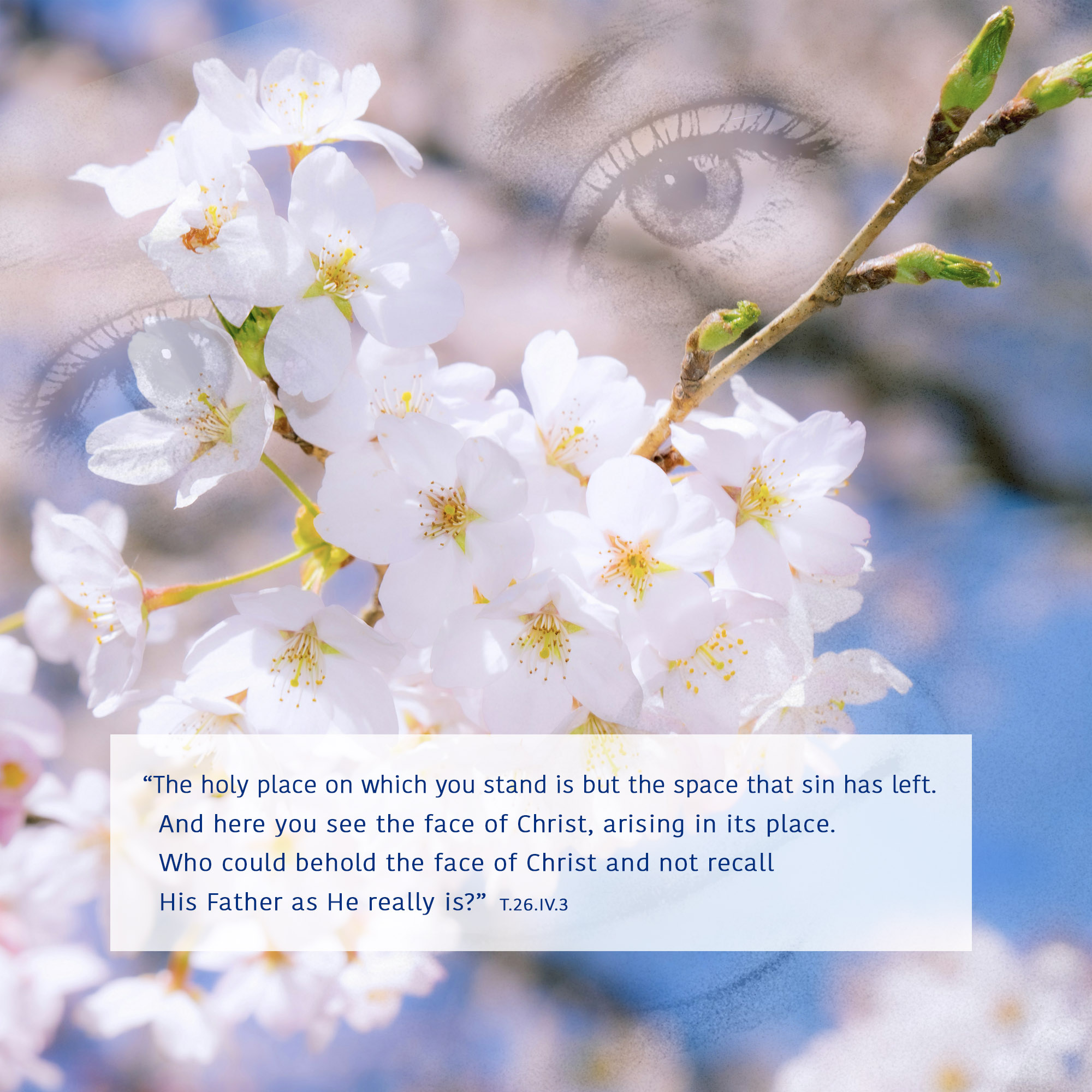 The holy place on which you stand is but the space that sin has left. And here you see the face of Christ, arising in its place. Who could behold the face of Christ and not recall His Father as He really is?