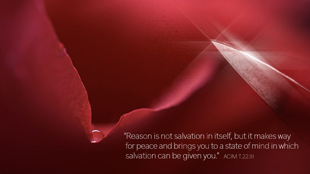 Reason is not salvation in itself, but it makes way for peace and brings you to a state of mind in which salvation can be given you.