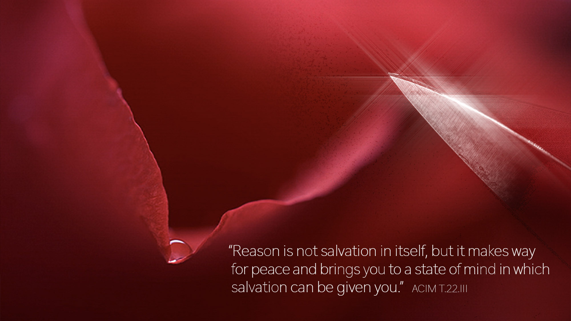 Reason is not salvation in itself, but it makes way for peace and brings you to a state of mind in which salvation can be given you.