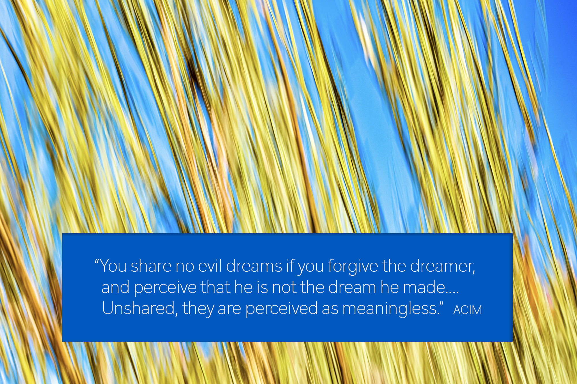 You share no evil dreams if you forgive the dreamer, and perceive that he is not the dream he made.... Unshared, they are perceived as meaningless.